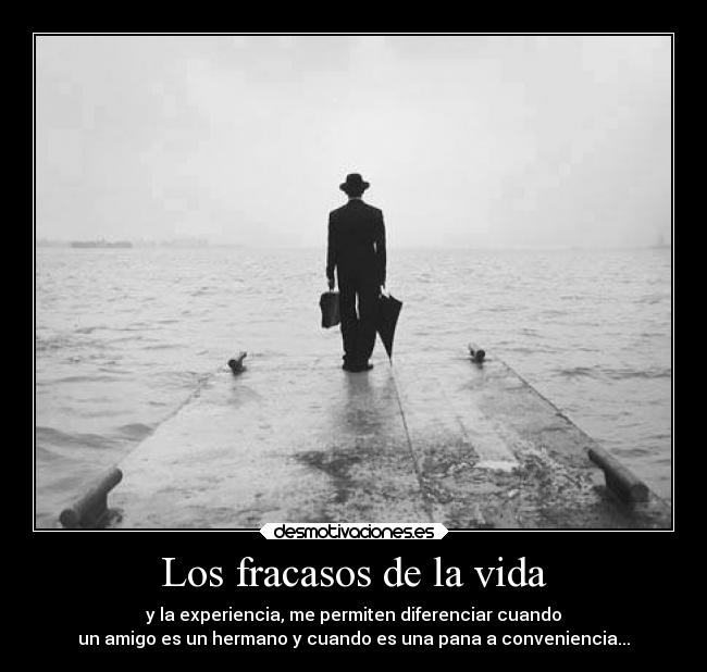 Los fracasos de la vida - 