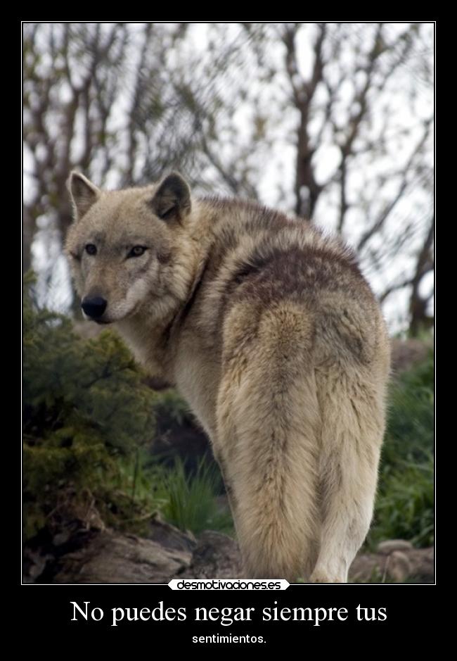 No puedes negar siempre tus -