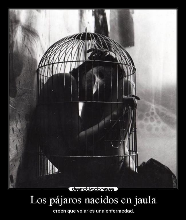 carteles vida sociedad problemas obstaculos imaginacion desmotivaciones ausencia alma prejuicios delolvido desmotivaciones