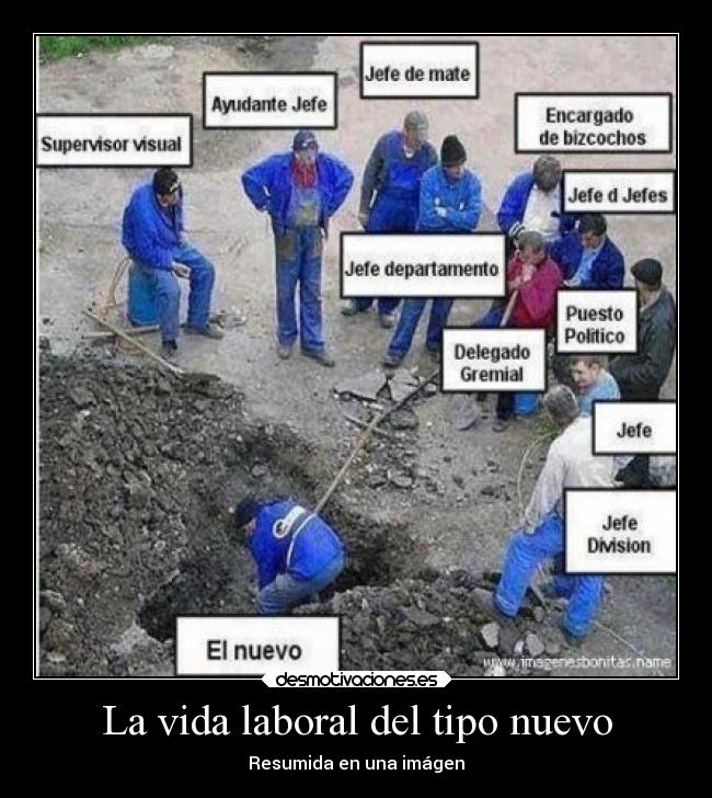 La vida laboral del tipo nuevo - Resumida en una imágen