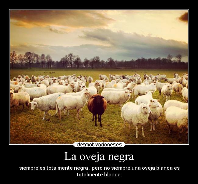 La oveja negra - siempre es totalmente negra , pero no siempre una oveja blanca es
totalmente blanca.