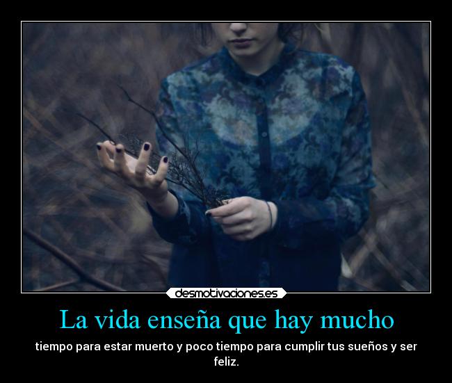 La vida enseña que hay mucho - 