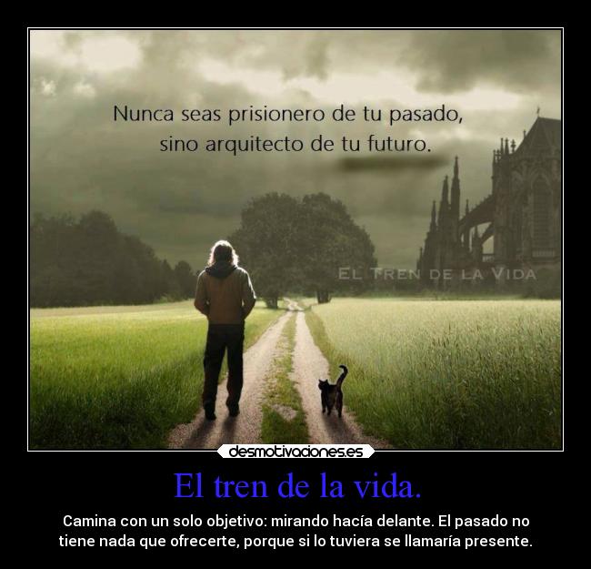 El tren de la vida. - 