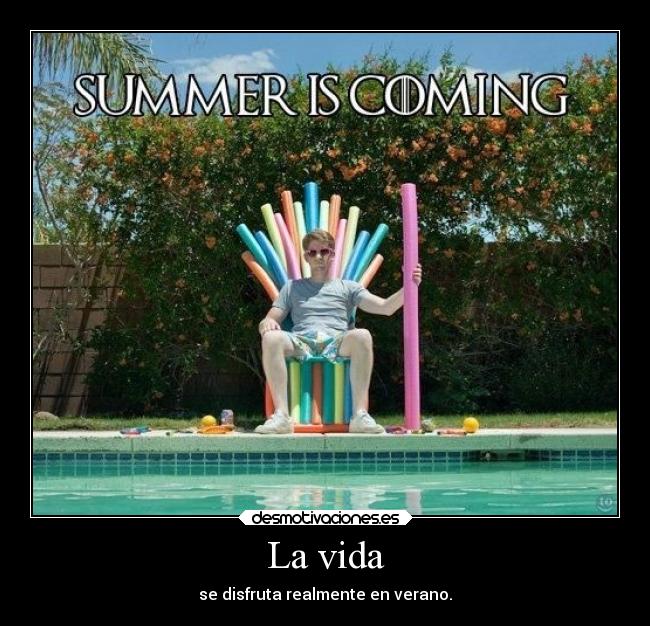 carteles vida verano frases masexoymenostonterias desmotivaciones