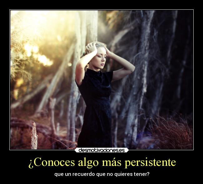 ¿Conoces algo más persistente -