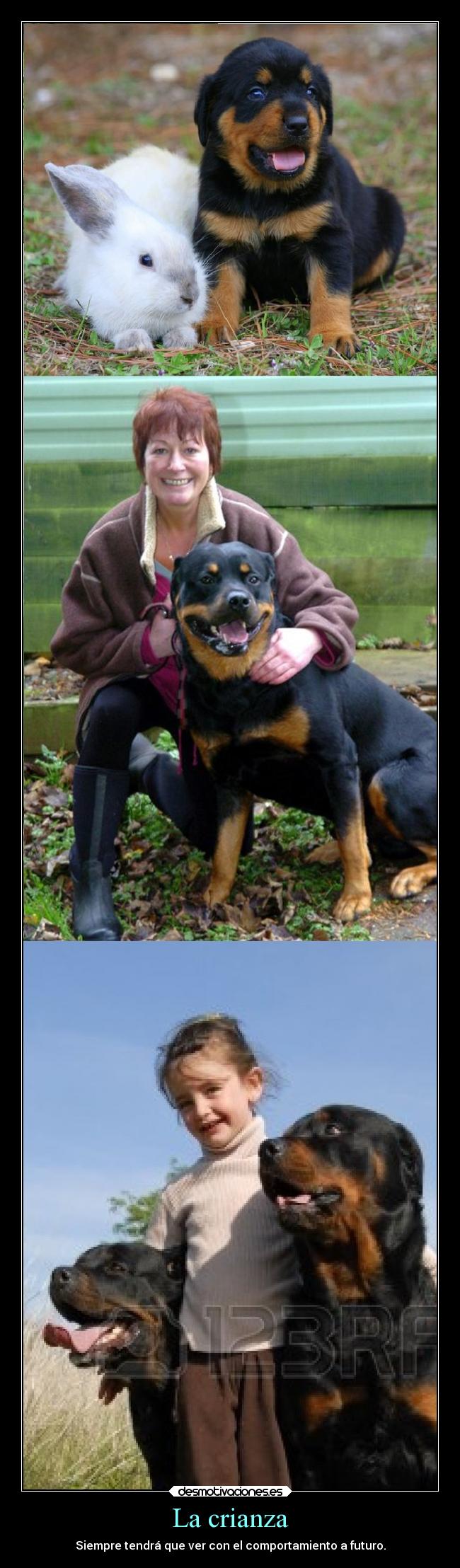 carteles vida yitoxuchihayitoxuchihayitoxuchihayitoxuchihayitox soyunidiotatm desmotivaciones