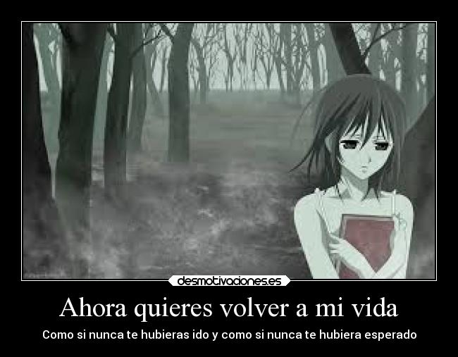 carteles vida vida yuuki volver irse espera desmotivaciones