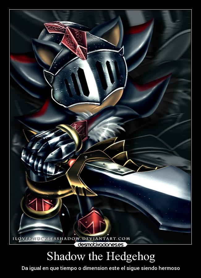 Shadow the Hedgehog - Da igual en que tiempo o dimension este el sigue siendo hermoso