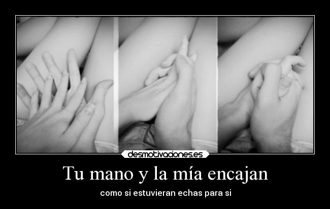 carteles abrazos besos amigos amor animales desmotivaciones