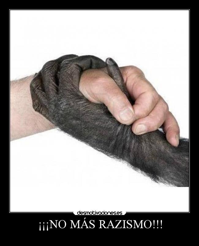 ¡¡¡NO MÁS RAZISMO!!! - 