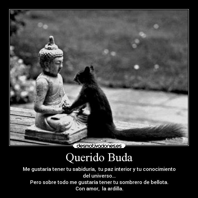 Querido Buda - Me gustaría tener tu sabiduría, tu paz interior y tu conocimiento
del universo...
Pero sobre todo me gustaría tener tu sombrero de bellota.
Con amor, la ardilla.