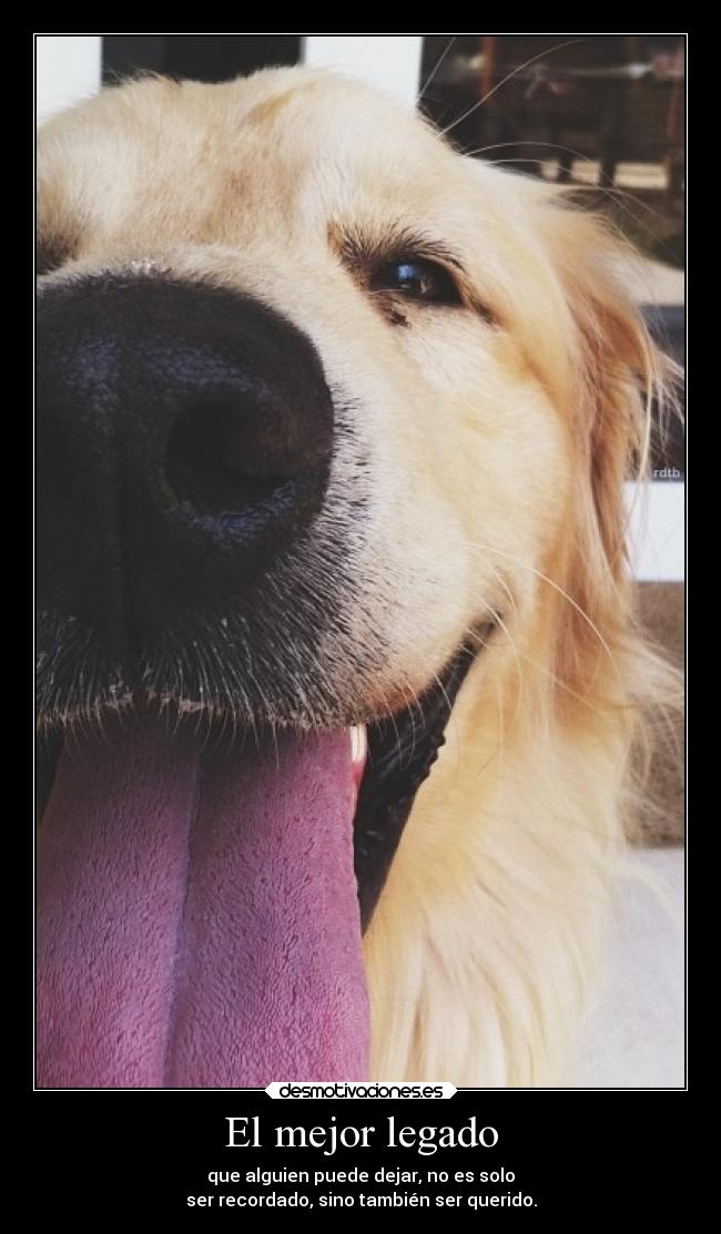 El mejor legado -
