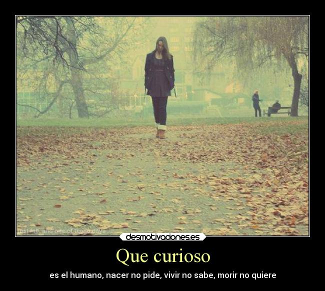 Que curioso - es el humano, nacer no pide, vivir no sabe, morir no quiere