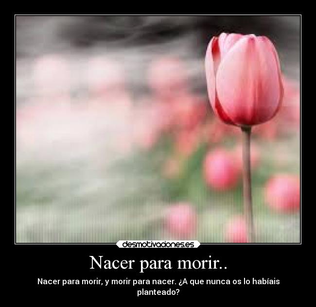 Nacer para morir.. - Nacer para morir, y morir para nacer. ¿A que nunca os lo habíais
planteado?