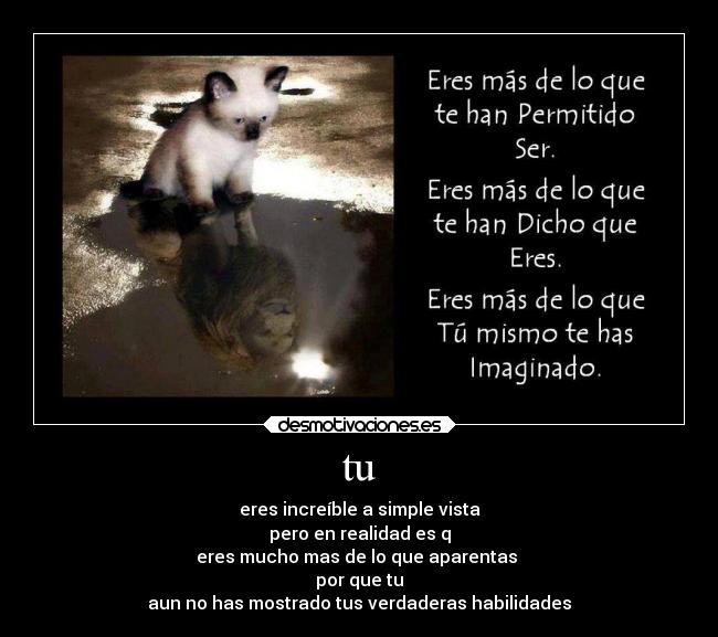 tu - eres increíble a simple vista
pero en realidad es q
eres mucho mas de lo que aparentas 
por que tu
aun no has mostrado tus verdaderas habilidades