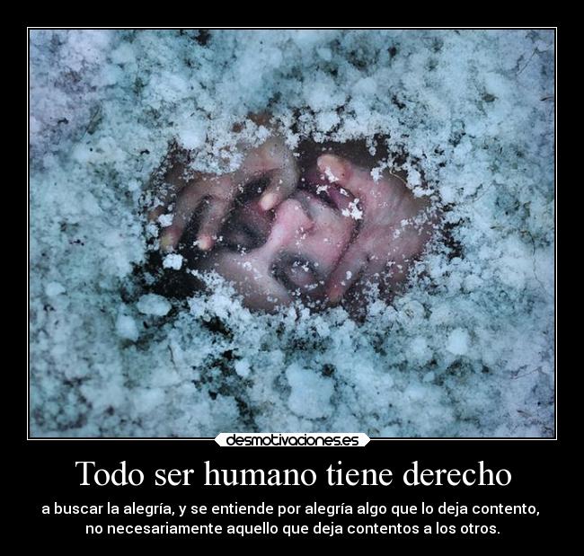 Todo ser humano tiene derecho - a buscar la alegría, y se entiende por alegría algo que lo deja contento, 
no necesariamente aquello que deja contentos a los otros.