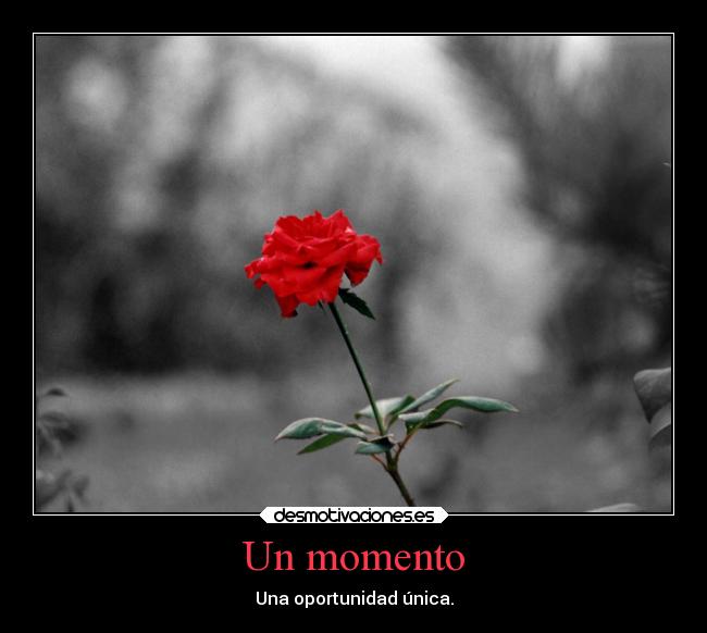 Un momento - Una oportunidad única.