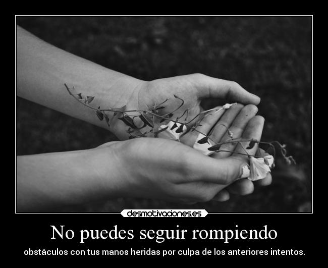 No puedes seguir rompiendo - 