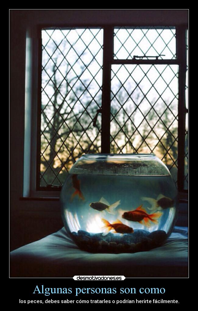 Algunas personas son como - 