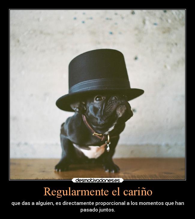 Regularmente el cariño - 