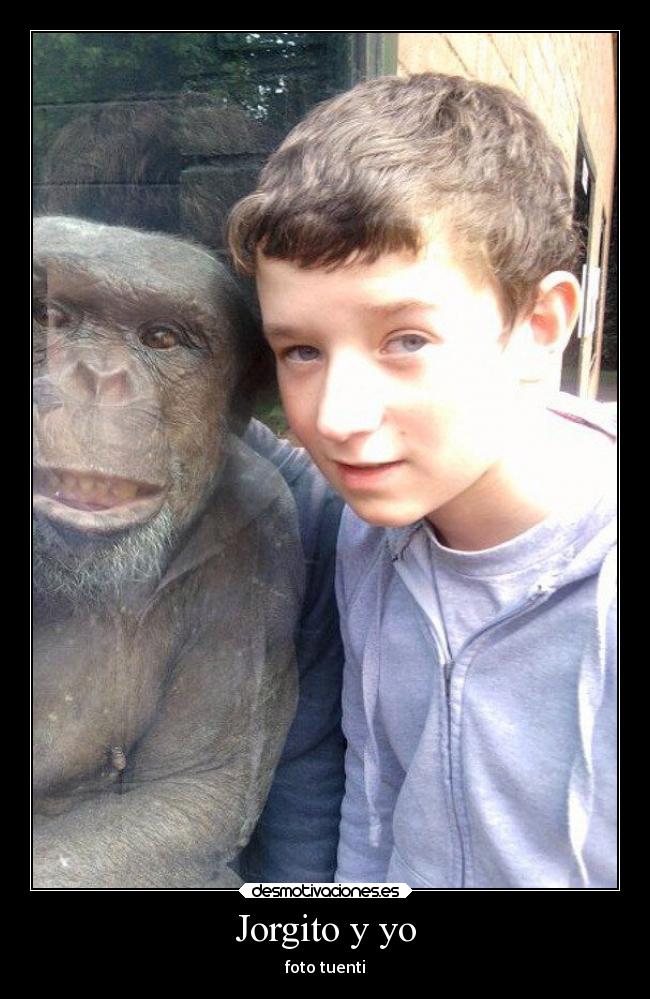 carteles amigos chimpance alopecia nino soy asi que denuncies por vulgar hediondo desmotivaciones