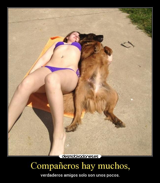 Compañeros hay muchos, -