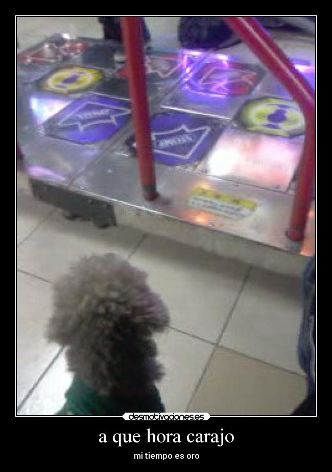 a que hora carajo - mi tiempo es oro