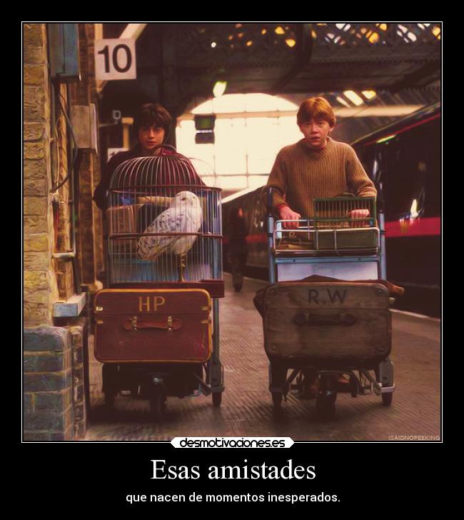 Esas amistades - que nacen de momentos inesperados.