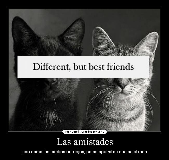 Las amistades - son como las medias naranjas, polos opuestos que se atraen