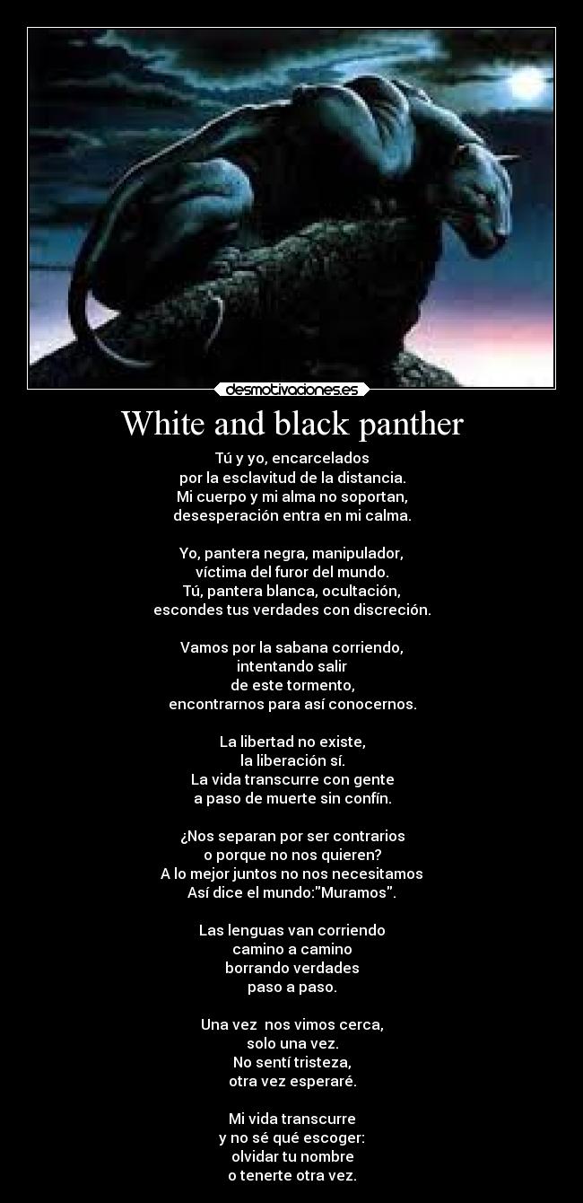 White and black panther - Tú y yo, encarcelados
por la esclavitud de la distancia.
Mi cuerpo y mi alma no soportan,
desesperación entra en mi calma.

Yo, pantera negra, manipulador,
víctima del furor del mundo.
Tú, pantera blanca, ocultación,
escondes tus verdades con discreción.

Vamos por la sabana corriendo,
intentando salir
de este tormento,
encontrarnos para así conocernos.

La libertad no existe,
la liberación sí.
La vida transcurre con gente
a paso de muerte sin confín.

¿Nos separan por ser contrarios
o porque no nos quieren?
A lo mejor juntos no nos necesitamos
Así dice el mundo:Muramos.

Las lenguas van corriendo
camino a camino
borrando verdades
paso a paso.

Una vez  nos vimos cerca,
solo una vez.
No sentí tristeza,
otra vez esperaré.

Mi vida transcurre
y no sé qué escoger:
olvidar tu nombre
o tenerte otra vez.