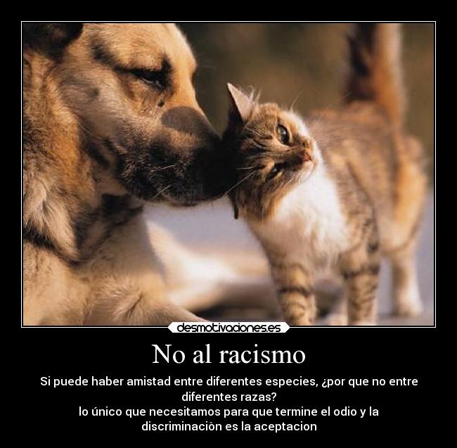 No al racismo - Si puede haber amistad entre diferentes especies, ¿por que no entre
diferentes razas?
lo único que necesitamos para que termine el odio y la
discriminaciòn es la aceptacion