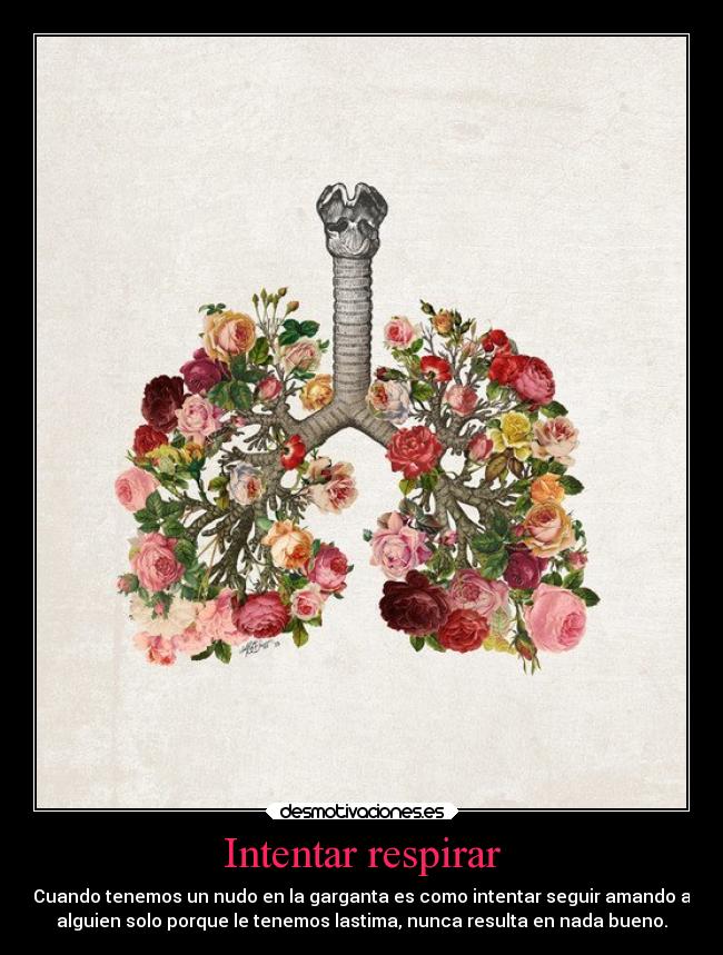 carteles amor desmotivaciones