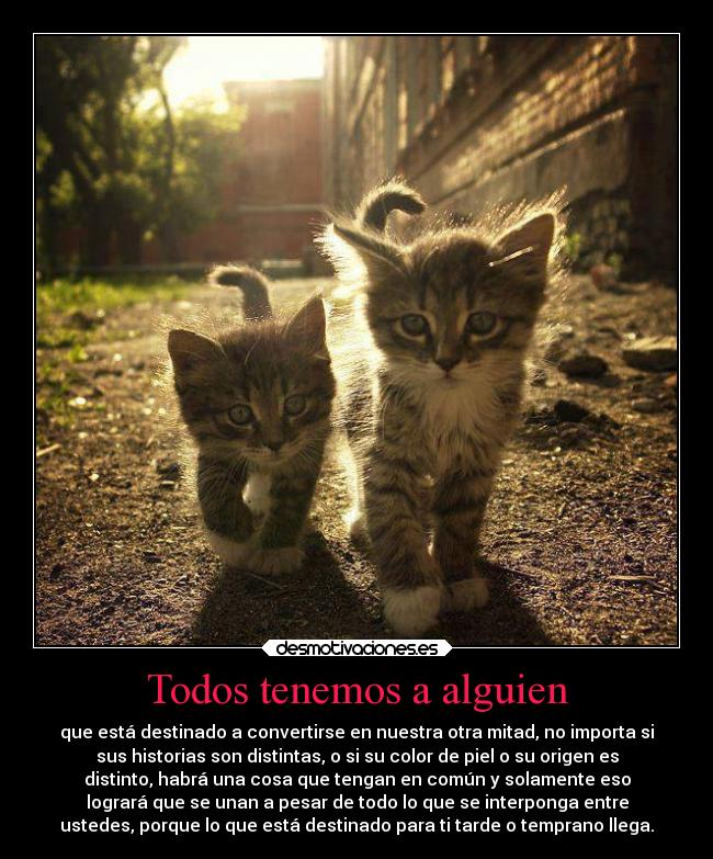 Todos tenemos a alguien -