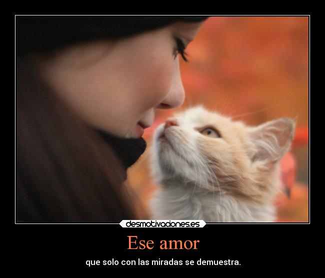 Ese amor - que solo con las miradas se demuestra.