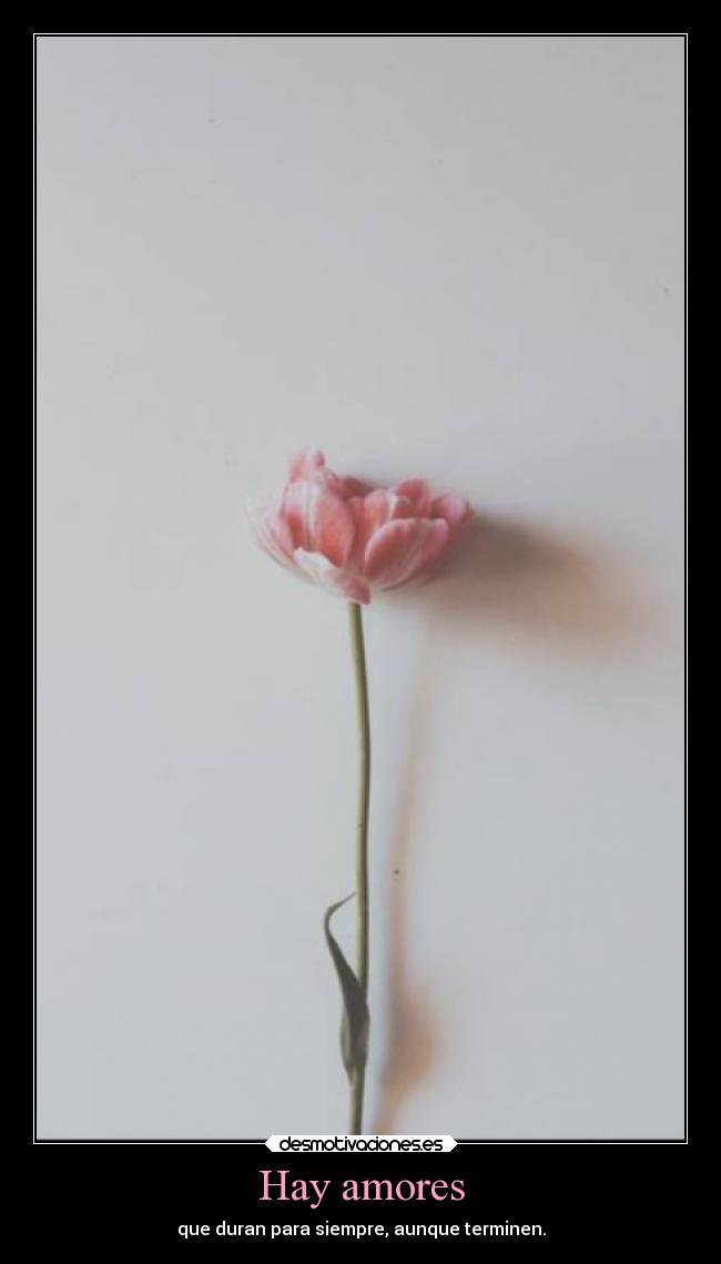 Hay amores - que duran para siempre, aunque terminen.
