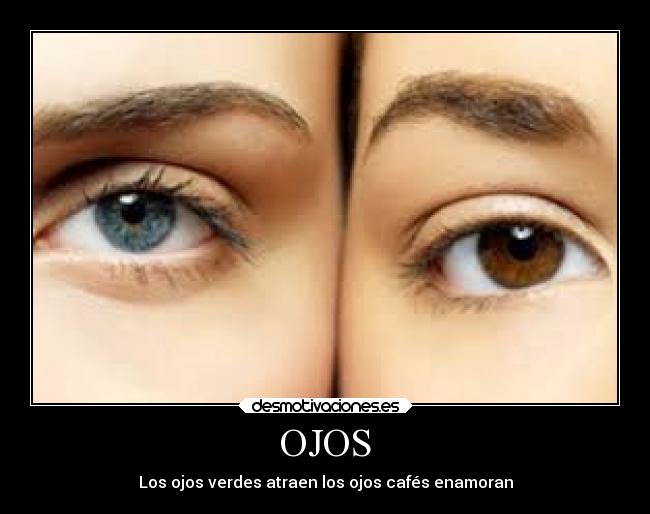 OJOS - Los ojos verdes atraen los ojos cafés enamoran
