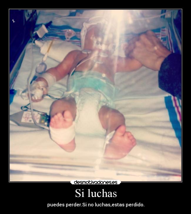 Si luchas - puedes perder.Si no luchas,estas perdido.