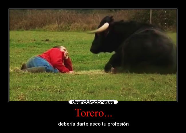 Torero... -