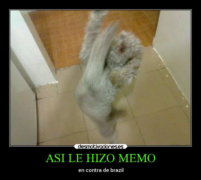ASI LE HIZO MEMO - en contra de brazil
