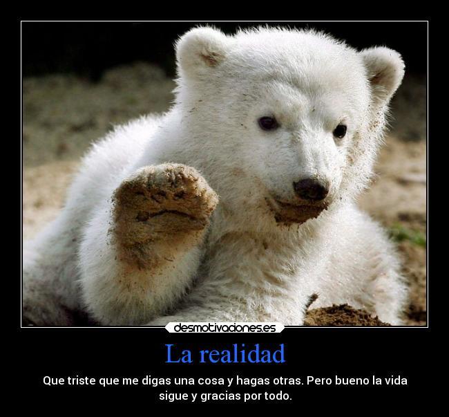 carteles amor desmotivaciones1 desmotivaciones