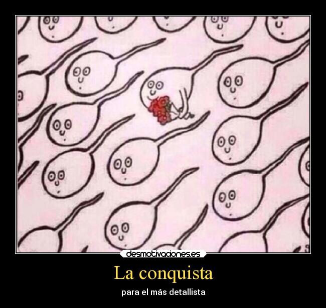 La conquista - para el más detallista