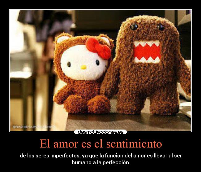 El amor es el sentimiento -