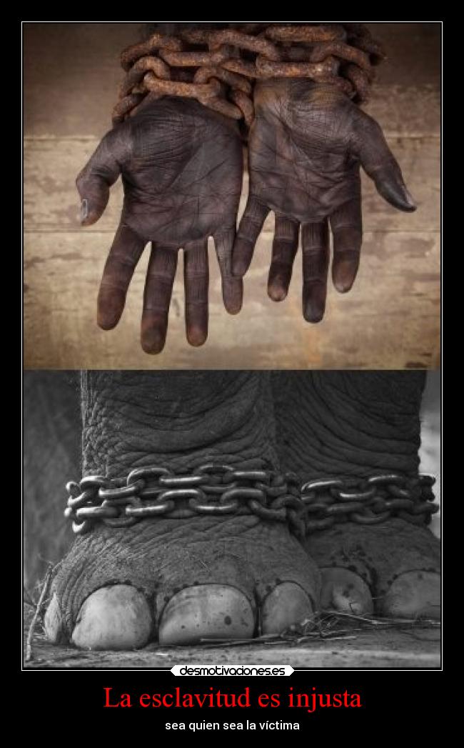 La esclavitud es injusta -