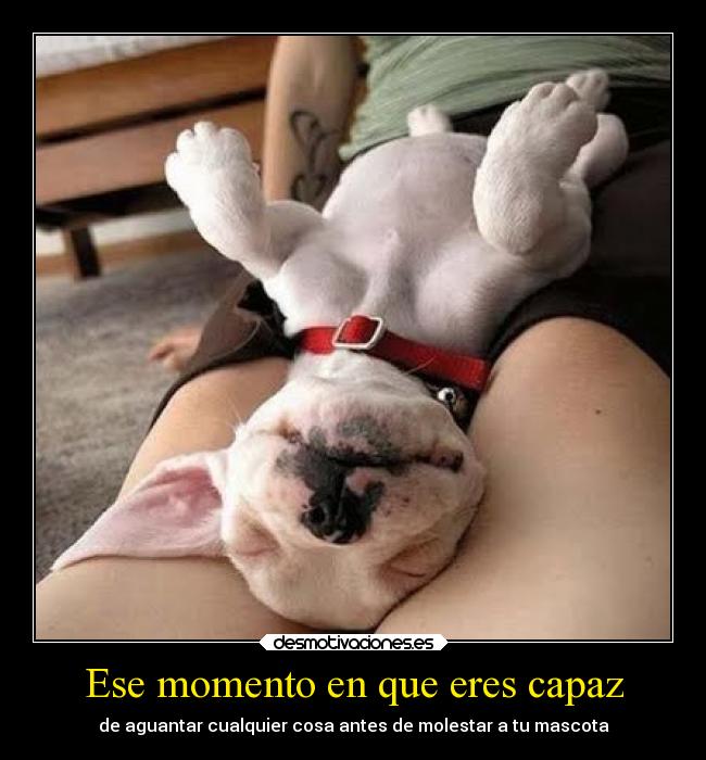 Ese momento en que eres capaz -