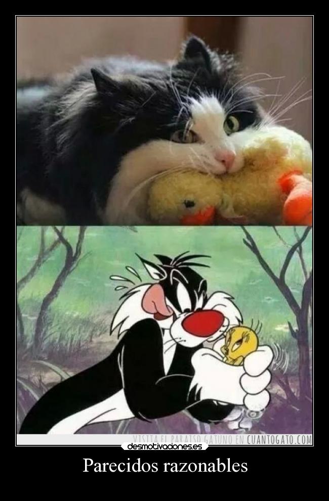 Parecidos razonables -