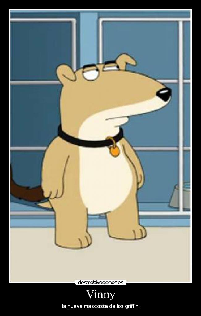 Vinny - la nueva mascosta de los griffin.