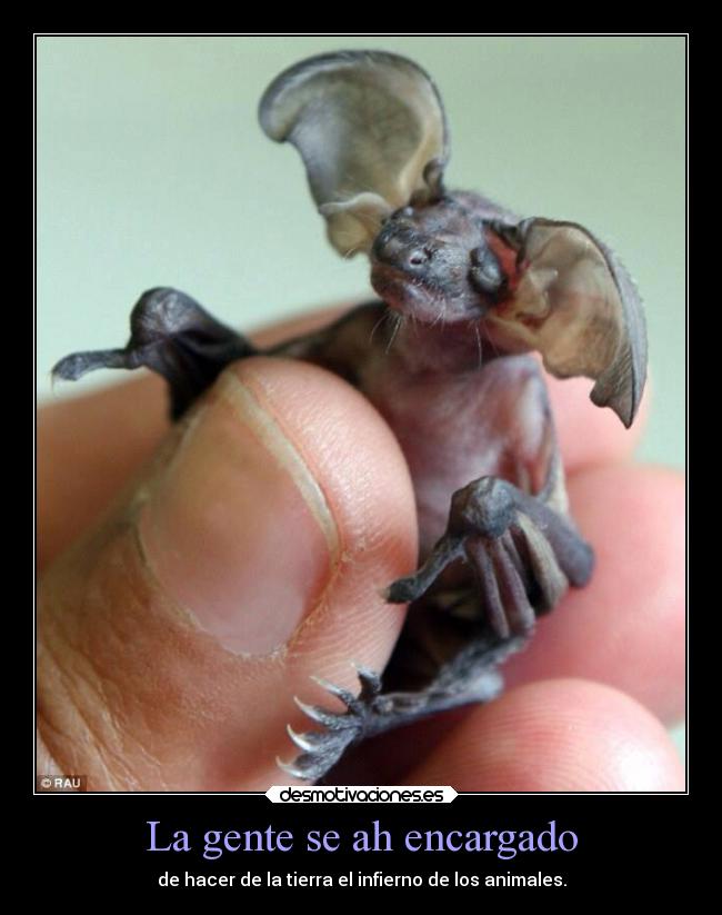La gente se ah encargado - de hacer de la tierra el infierno de los animales.