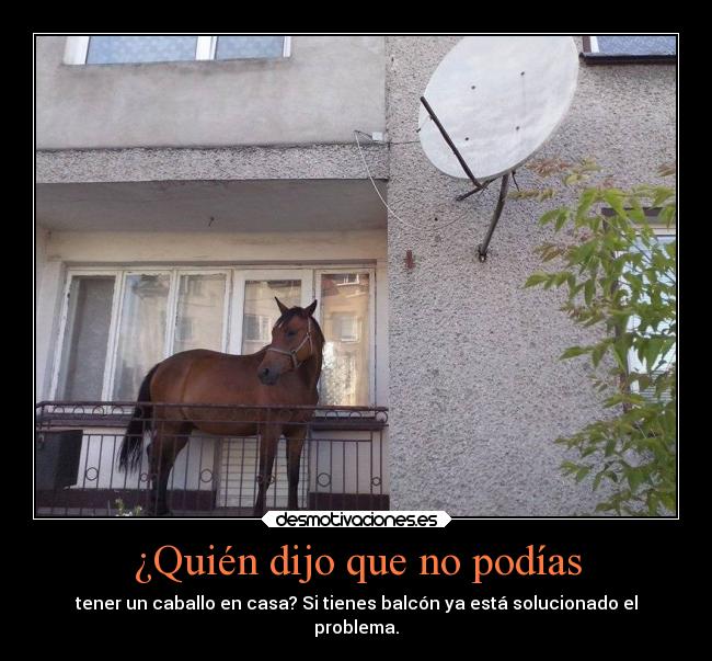 carteles animales desmotivaciones