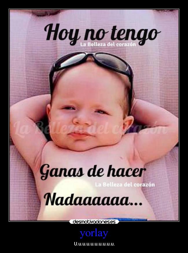 carteles animales desmotivaciones