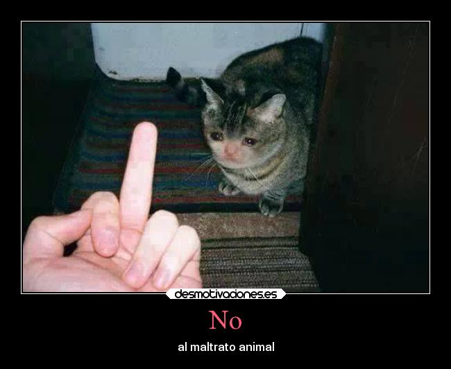 No - al maltrato animal
